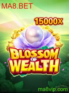 Descubra o Fascinante Mundo de BlossomofWealth no MA8.BET