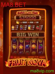 Descubra o Fascinante Mundo de FruitNova no MA8.BET